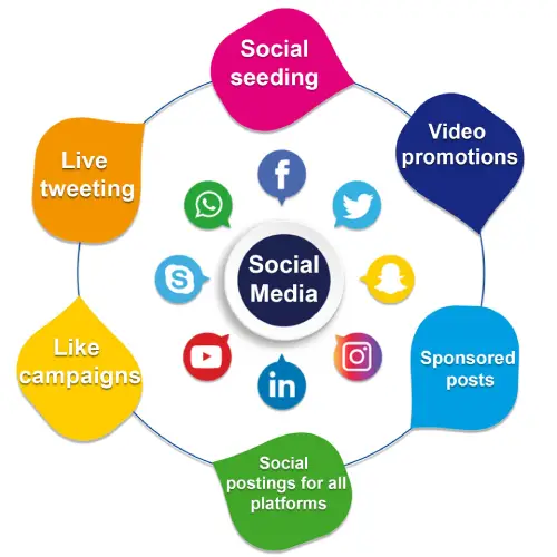 Custom Web Design Services