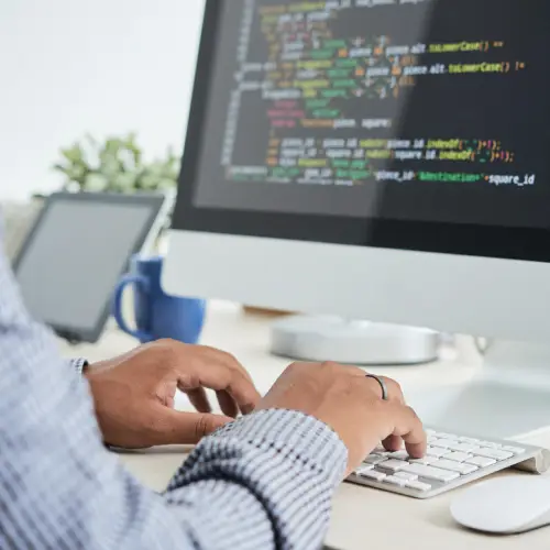 Custom Web Design Services